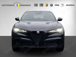 Alfa Romeo Stelvio Quadrifoglio Q4 520PS AD El. Panodach Navi Leder D Bild 4