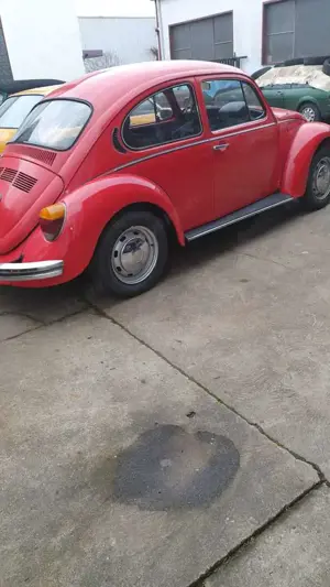 Volkswagen Käfer Bild 2