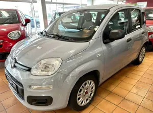 Fiat Panda Base