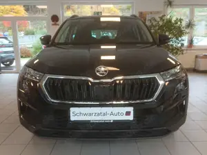 Skoda Karoq Selection 130Jahre DSG