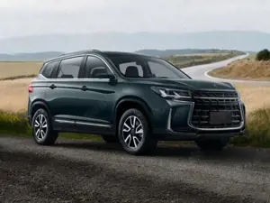 Forthing Others Forthing3 LED DSG KAMERA PANODACH