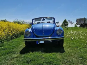 Volkswagen Käfer