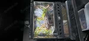 Terrarienrückwände nach Wunsch 