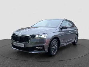 Skoda Fabia 1.0 TSI DSG Tour Parken Plus / Winterpaket / Sm...