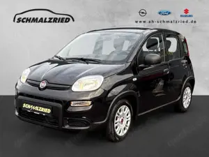 Fiat Panda Base 1.0 Mild Hybrid DAB Klima Freisprech BT el.SP
