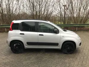 Fiat Panda 1.2 Easy 1.Hand / Ganzjahresreifen / SHZ Bild 4