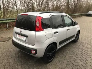 Fiat Panda 1.2 Easy 1.Hand / Ganzjahresreifen / SHZ Bild 5