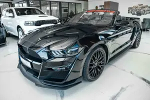 Ford Mustang GT 5,0 Gt 500 SHELBY PREMIUM