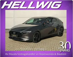 Mazda 3 5-Türer 2.5l (140PS) Nagisa Automatik Teilleder Bo