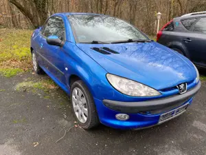 Peugeot 206 206 CC 110 Platinum