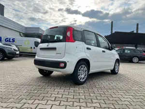 Fiat Panda Pandina 1.0 Icon *5 Sitzer Klimaanlage* Bild 4