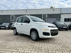 Fiat Panda Pandina 1.0 Icon *5 Sitzer Klimaanlage* Bild 5