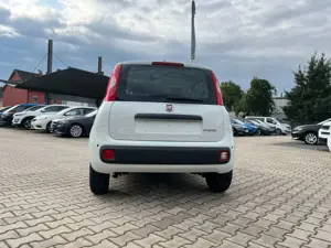 Fiat Panda Pandina 1.0 Icon *5 Sitzer Klimaanlage* Bild 3