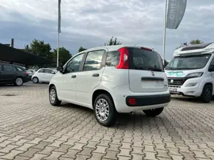 Fiat Panda Pandina 1.0 Icon *5 Sitzer Klimaanlage* Bild 2