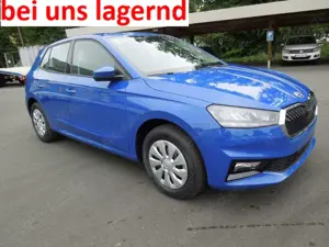 Skoda Fabia 1.0TSI DSG Selection/LED/Sitzheizung/PDC/MFL