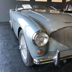 Austin-Healey 100 100/4  BN1