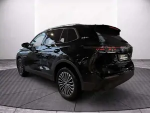 Volkswagen Tiguan Goal 2.0 TDI SCR 110 kW (150 PS) 7-Gang-Doppelkup Bild 4