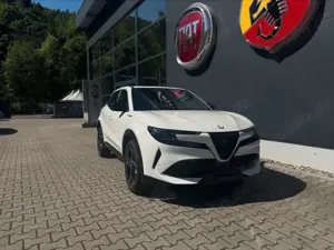 Alfa Romeo Junior