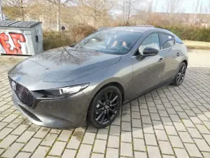 Mazda 3 2.5 e-SKYACTIV G 140PS NAGISA Sitzbezüge Teilleder