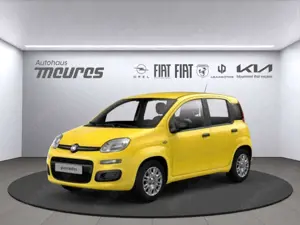 Fiat Panda Mild-Hybrid, Positano Gelb, Klima, Parksensoren, 6