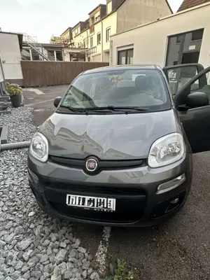 Fiat New Panda Serie 1-Easy 1.2 8V