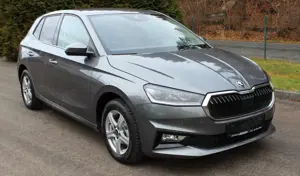 Skoda Fabia 1,0 TSI Style. Sitzh., Klima, DAB.-R.,
