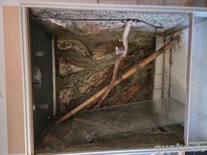 Terrarium mit Lichtkasten und Unterschrank