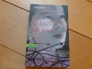 So lebe ich jetzt von Meg Rosoff