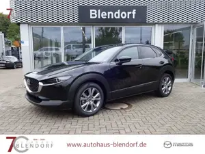 Mazda CX-30 Exclusive 140 360°|Navi|Bose