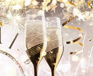 DU   IHR seit zu Silvester allein und habt Lust zu knallen 