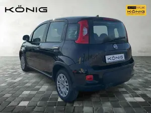 Fiat Panda MY24 1.0 Klima PDC Citypaket Bild 2