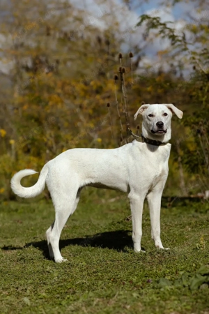 Lilit Taub durch die Welt , aber mit viel Liebe