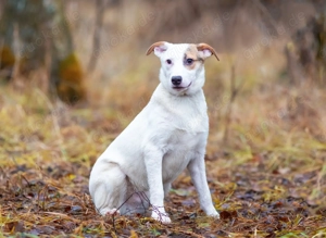 Aufgeschlossener Lord sucht aufgeschlossene Menschen