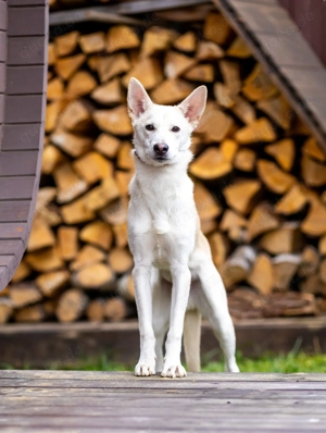 Wer nimmt Mickey in sein Leben..?!