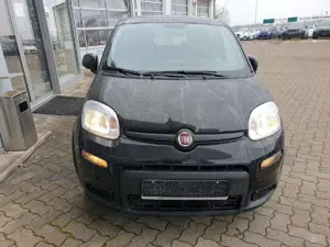 Fiat Panda Base Bild 2