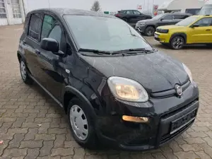 Fiat Panda Base Bild 3