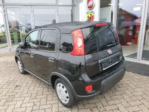 Fiat Panda Base Bild 5