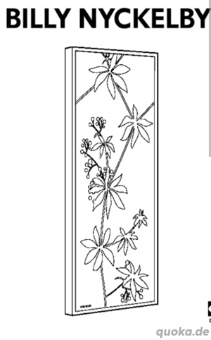 Glastüre für Ikea Billy