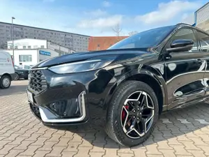 Ford Kuga ST-Line X FHEV AWD Bild 5