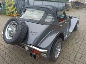 Panther Westwinds Kallista 2.0 DOCH Bild 4