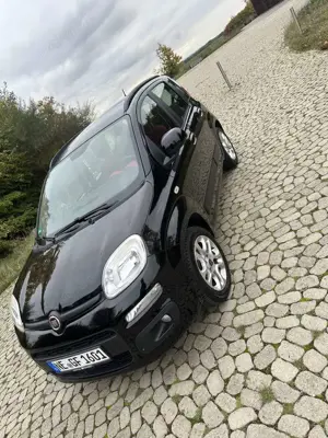 Fiat Panda 1.2 Active Bild 3