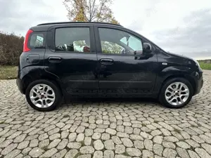 Fiat Panda 1.2 Active Bild 5