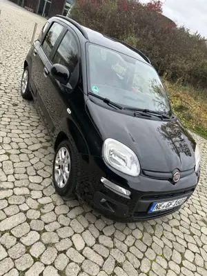Fiat Panda 1.2 Active Bild 2