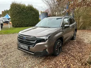 Subaru Forester Active Lineatrinoc