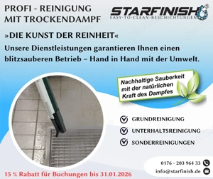 Trockendampfreinigung für die Lebensmittelverarbeitung