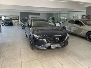Mazda CX-30 2.0 150PS Homura RFK,SHZ,HuD