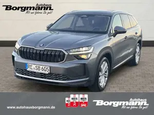 Skoda Kodiaq Selection 2.0 TDI 4x4 Rückfahrkamera - Allrad