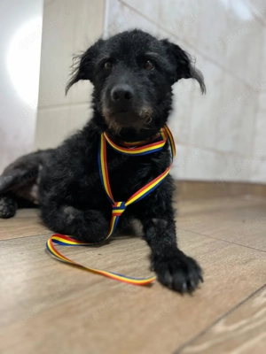 Luca sucht seine Familie