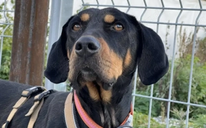 Baki wartet auf seine Familie Bild 2