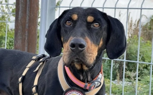 Baki wartet auf seine Familie